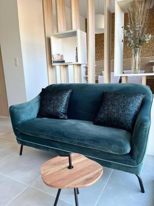 Appartement Centre De Roanne 38M2 Bagian luar foto